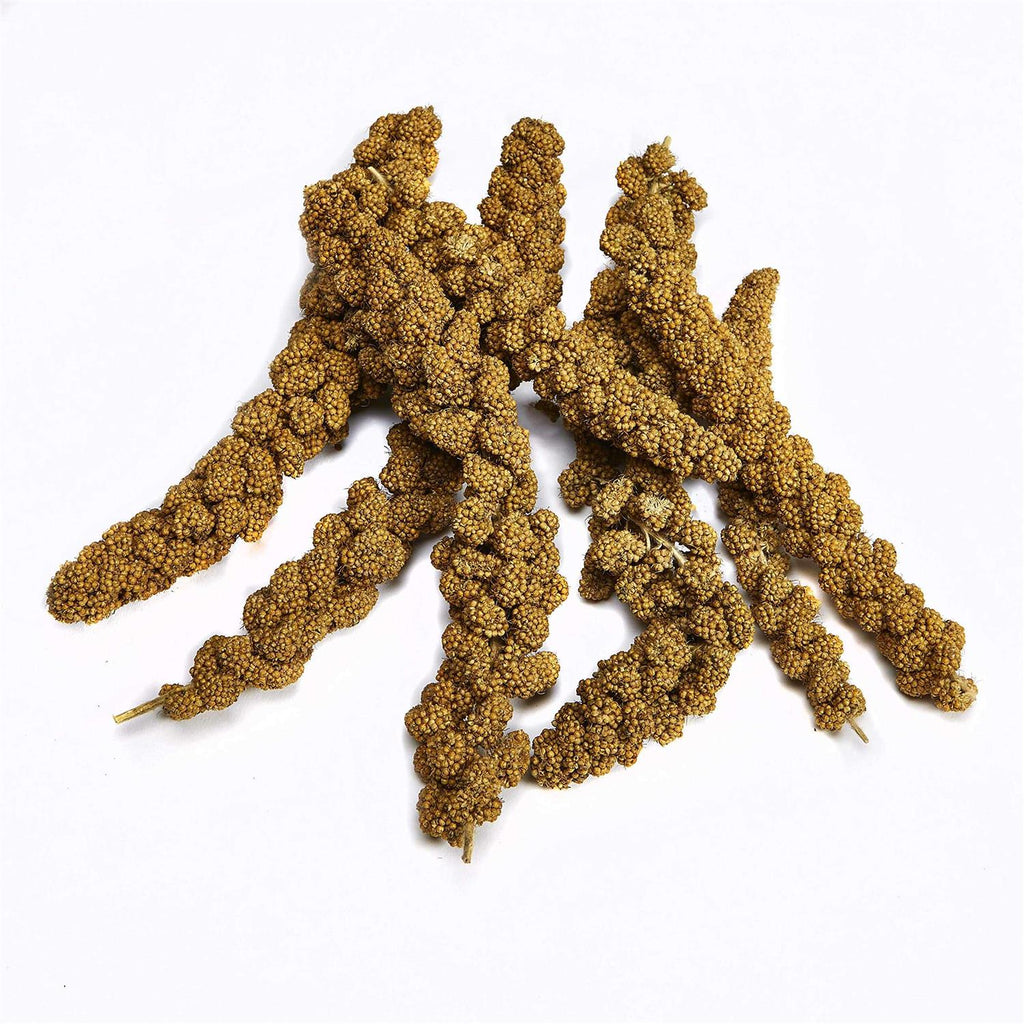 Kaytee Spray Millet for Pet Birds S9676