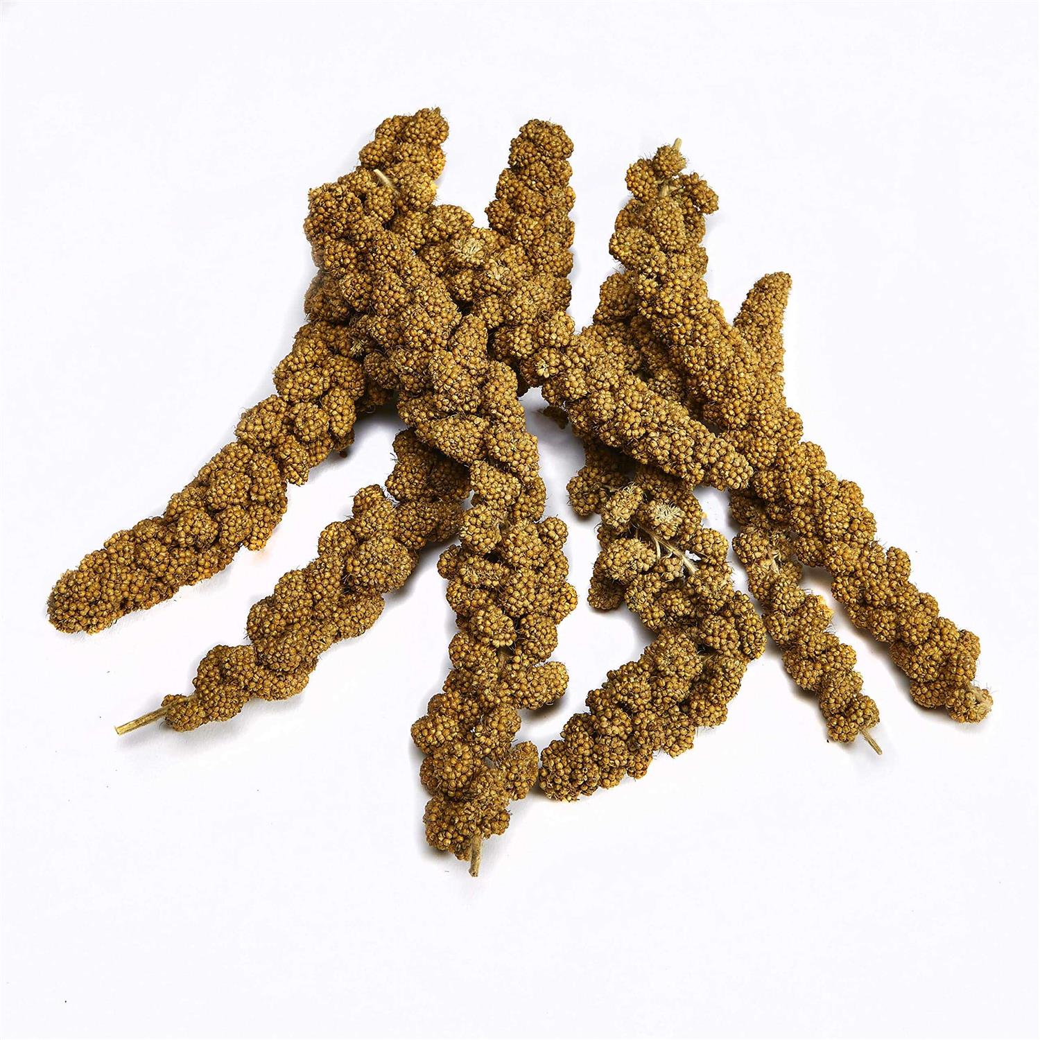 Kaytee Spray Millet for Pet Birds S9676